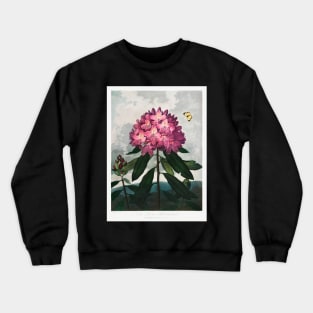 The pontic rhododendron Crewneck Sweatshirt